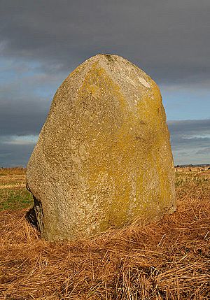 The Lochmaben Stone - geograph.org.uk - 1058306.jpg