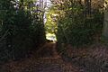 Track from Quarry Cottage towards Ide Hill - geograph.org.uk - 1549272