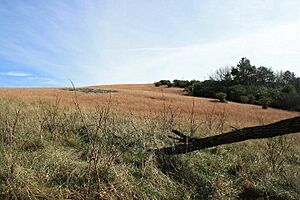 Trail in Doughton Park