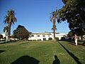 Triangle Park & Main Street Library, Sept 2014 (5)