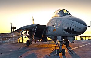 USS Hornet F14 Tomcat (3205272145)