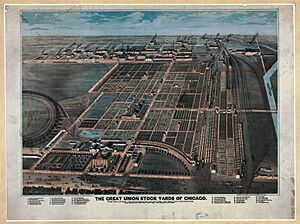 Union stock yards chicago 1870s loc