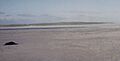 Vallay Island from shore at low tide