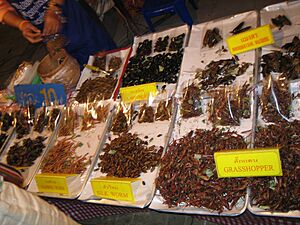 Various cooked insects at a night market