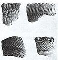 Vase Tool-Impressed rim sherds
