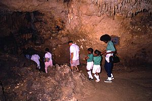 View of visitors on tour inside cave at the Florida Caverns State Park- Marianna, Florida (3247325003)