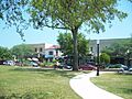 Winter Park FL Downtown HD01