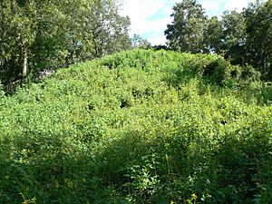 07-09-11 LkJksnMoundsStPkMnd2
