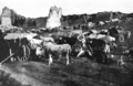 A Caravan of Christian Families Fleeing from the Turkish Massacre