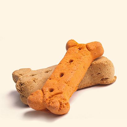 A Dog biscuit