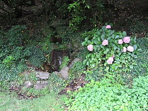 Agnes Fountain - geograph.org.uk - 531910