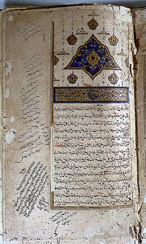 Al-Kirmani, Commentary on 'Causes and symptoms' Wellcome L0013850