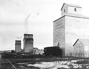Alberta Farmers Cooperative Elevator company elevator, Viking, Alberta 1913