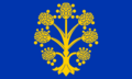 Appleby-in-Westmorland town flag