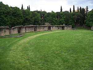 Arezzo-anfiteatro01