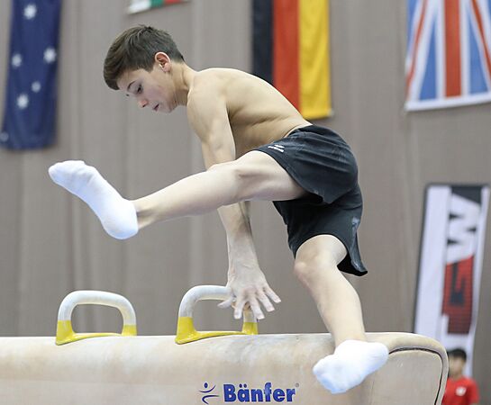 Austrian Future Cup 2018-11-23 Training Afternoon Pommel horse (Martin Rulsch) 323