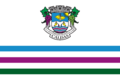 BANDEIRA DE CALDAS 20X14-01