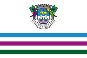BANDEIRA DE CALDAS 20X14-01