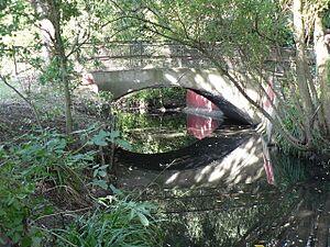 Bexley, footbridge at Danson Park - geograph.org.uk - 972265