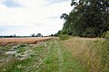 Black Ditches, near Cavenham - geograph.org.uk - 34222