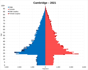 Cambridge population pyramid