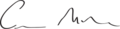 Carl Bildt Signature
