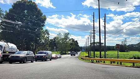 Carretera PR-165, Dorado, Puerto Rico (2)