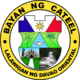 Official seal of Cateel