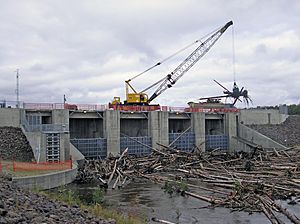 Chena River Lakes Flood Control Project dam clearing