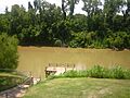 Colorado River of Texas at Wharton IMG 1058