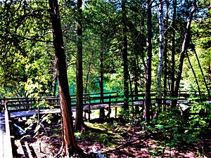 Crawford Lake Conservation Area- Crawford Lake- Milton- Ontario (1)