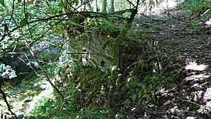 Crawick Glen. Old bridge abutment. Crawick. Dumfries and Galloway