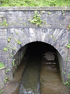Culvert beneath the Leeds Liverpool Canal - geograph.org.uk - 1317562