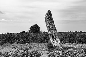 Digital Eye–2015–Cúchulainn’s Stone (Clochafarmore Standing Stone)