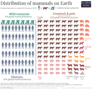 Distribution-of-earths-mammals