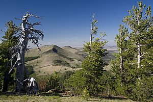 Drake Peak Views-Fremont Winema (24495133634)