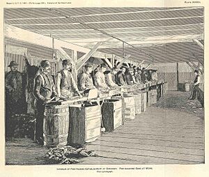 FMIB 34067 Interior of Fish-Packing Establishment at Sandusky