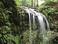 FallingWatersStateParkWaterfall