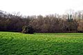 Field near Little Hemingfold - geograph.org.uk - 1053920