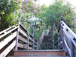 Filbert-street-steps-16jul2004