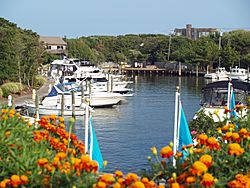 The marina from the west side shops area looking east