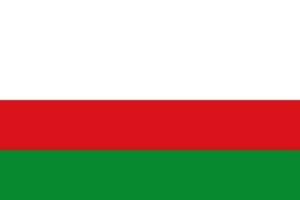Flag of Piedras (Tolima)