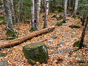 George H. Crosby-Manitou State Park WMRT.jpg