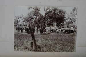 Gum trees and workers De Salis collection photo of Australia circa 1880