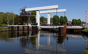 Hardenberg-Bergentheim, de Wiekebrugge IMG 1261 2022-05-08 12.18