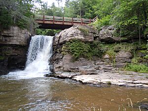 Hardenburgh Falls.JPG