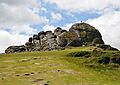 Haytor, May 2011 2