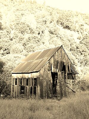 Helena Hotel Barn