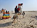 Horse Varanasi Beach-Varanasi India-Andres Larin
