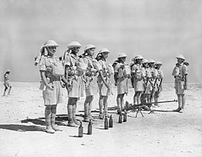 Indian troops in North Africa parade with a Boys anti-tank rifle and 'Molotov cocktail' petrol bombs, 6 October 1940. E699